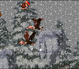 Snow storm